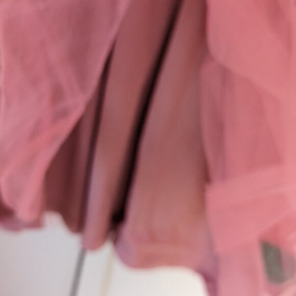 Mini Boden guinea pig appliqué tulle ballet dress - Picture 6 of 7